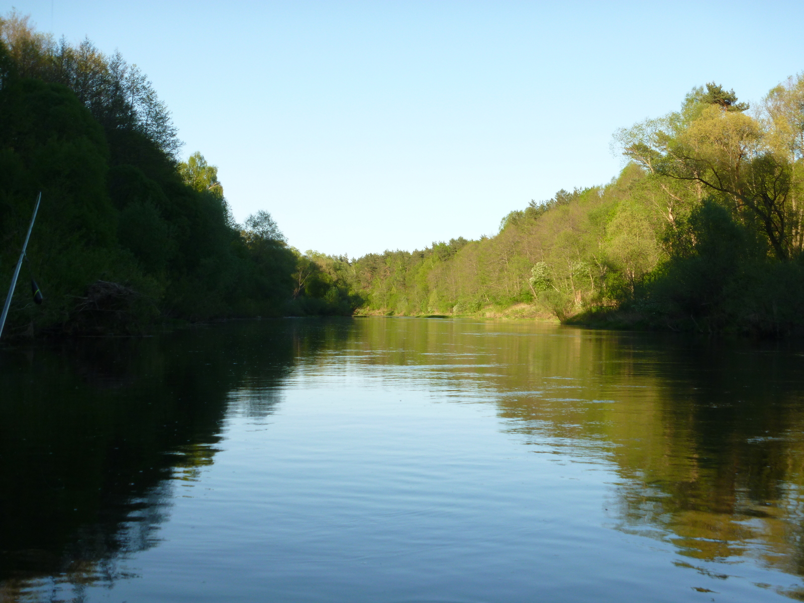 May fishing - My, Fishing, Chub, Longpost