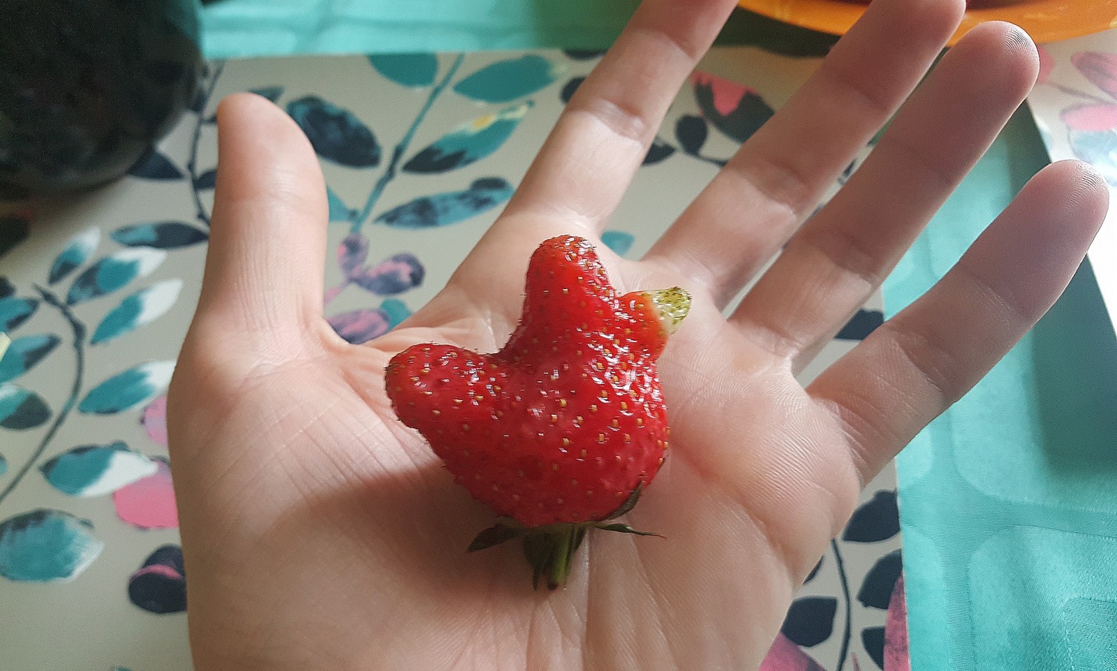 Rooster strawberry - My, Strawberry, It seemed, Strawberry (plant)