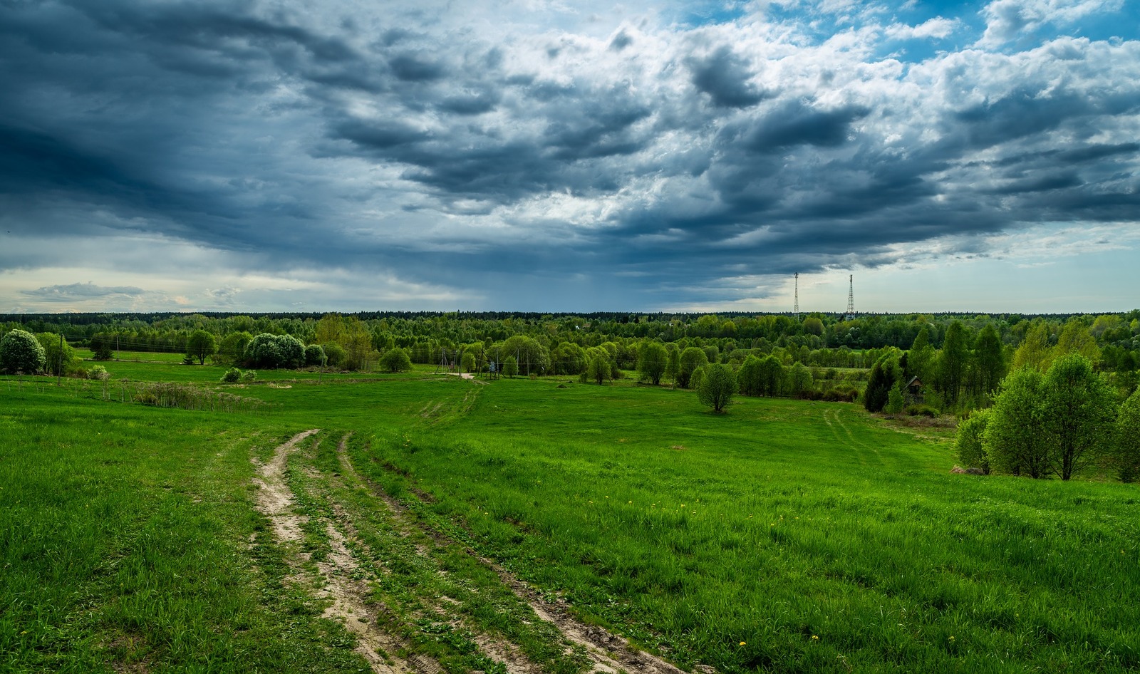 Macrophotographer's hunting ground - My, Landscape, Meadows, Field, Tree, Road, Sky, Clouds, Canon 24-70