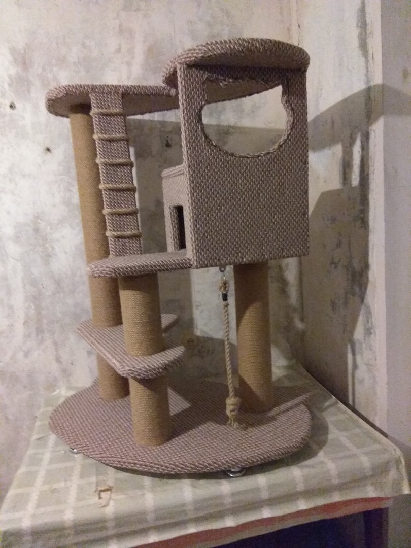 Do-it-yourself cat scratching post house - cat, British cat, Scottish lop-eared, Scratching post, Longpost