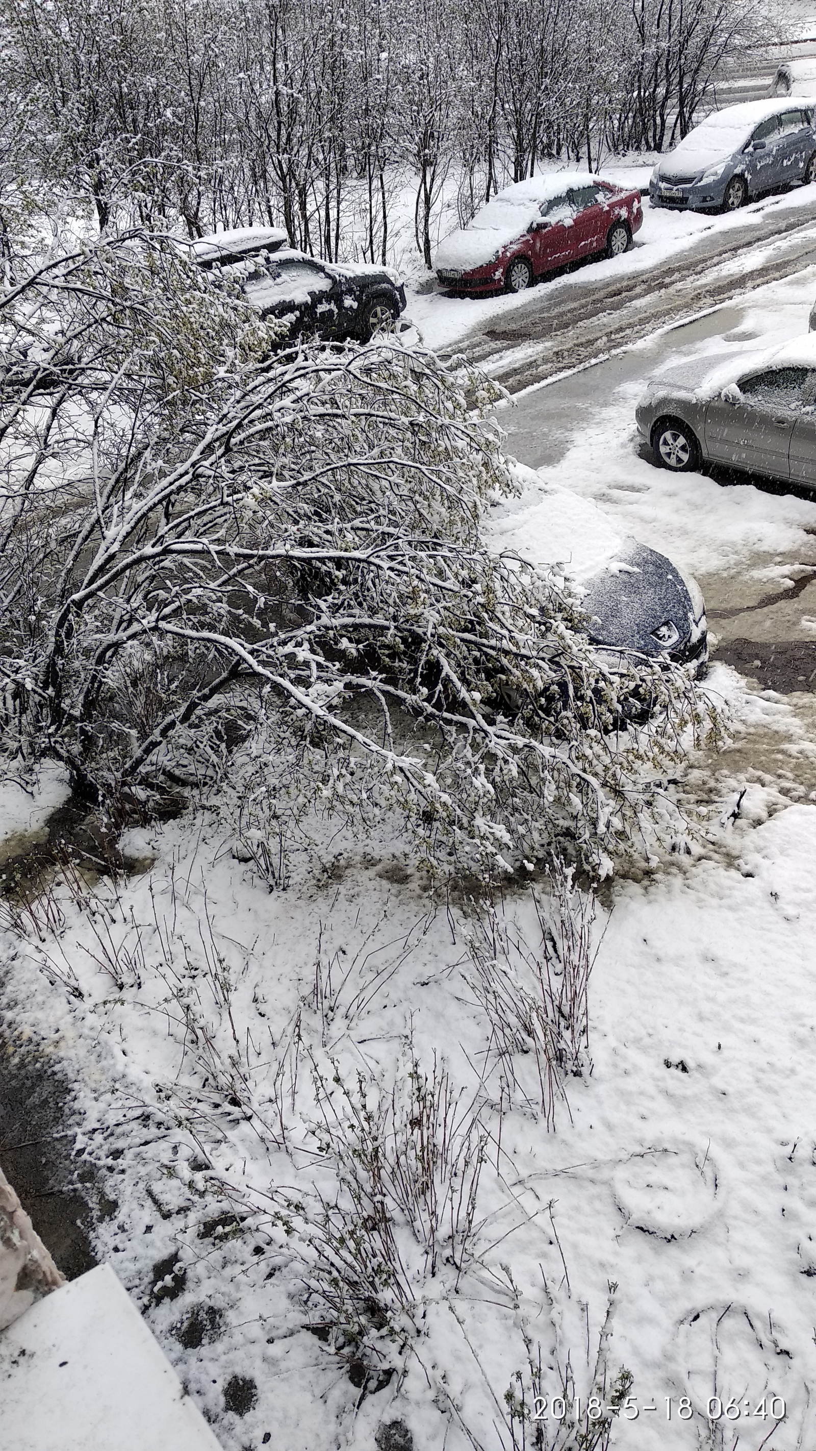 Finally spring... - My, Murmansk, Spring, Longpost