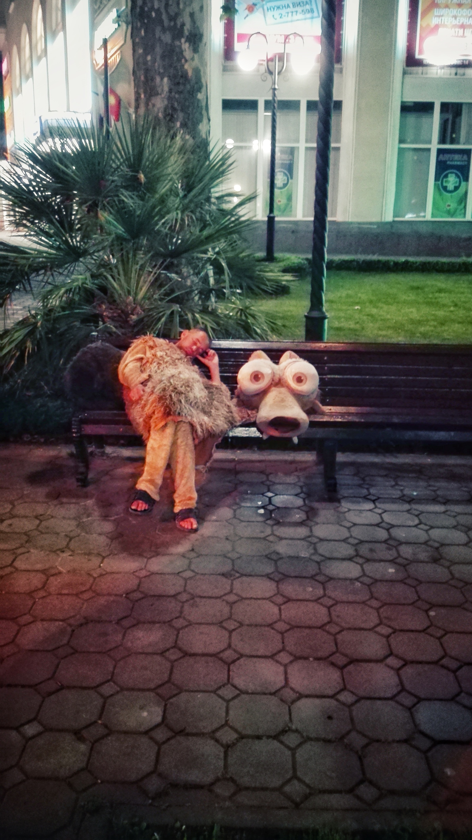 Sleeping tired squirrels - My, Sochi, Squirrel, ice Age, Dream