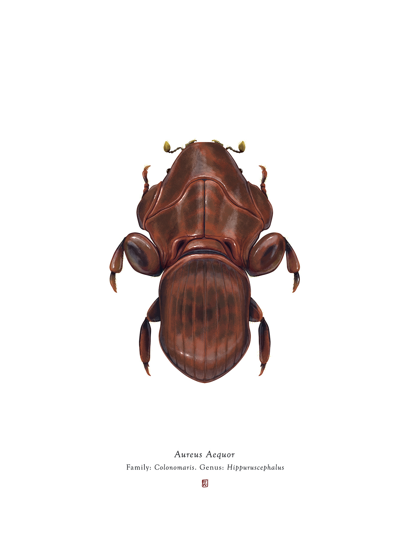 Fictional bugs inspired by Star Wars - Star Wars, Жуки, Art, Art, Longpost