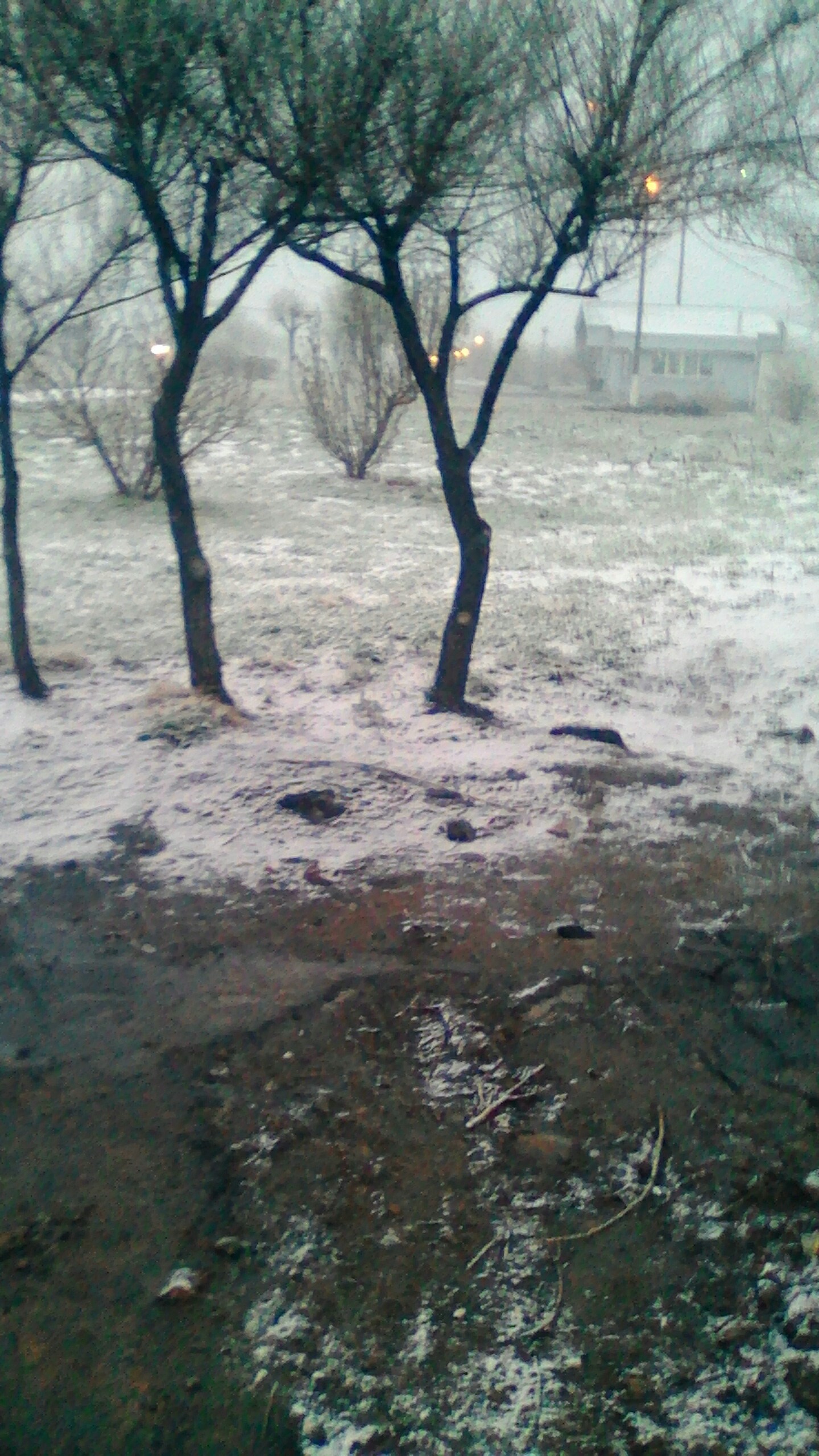 Nothing invigorates like morning snow. - My, Bratsk, Snow, , May