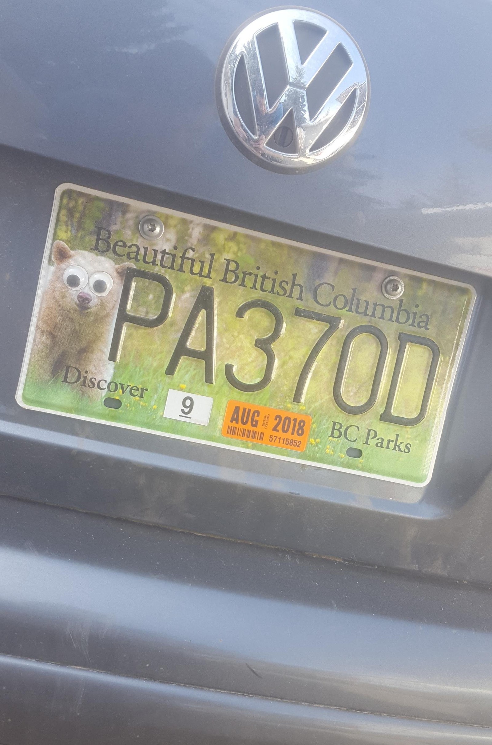 Someone glued the bear's eyes on the room - Eyes, Sticker, Reddit, Car plate numbers, The Bears, Auto