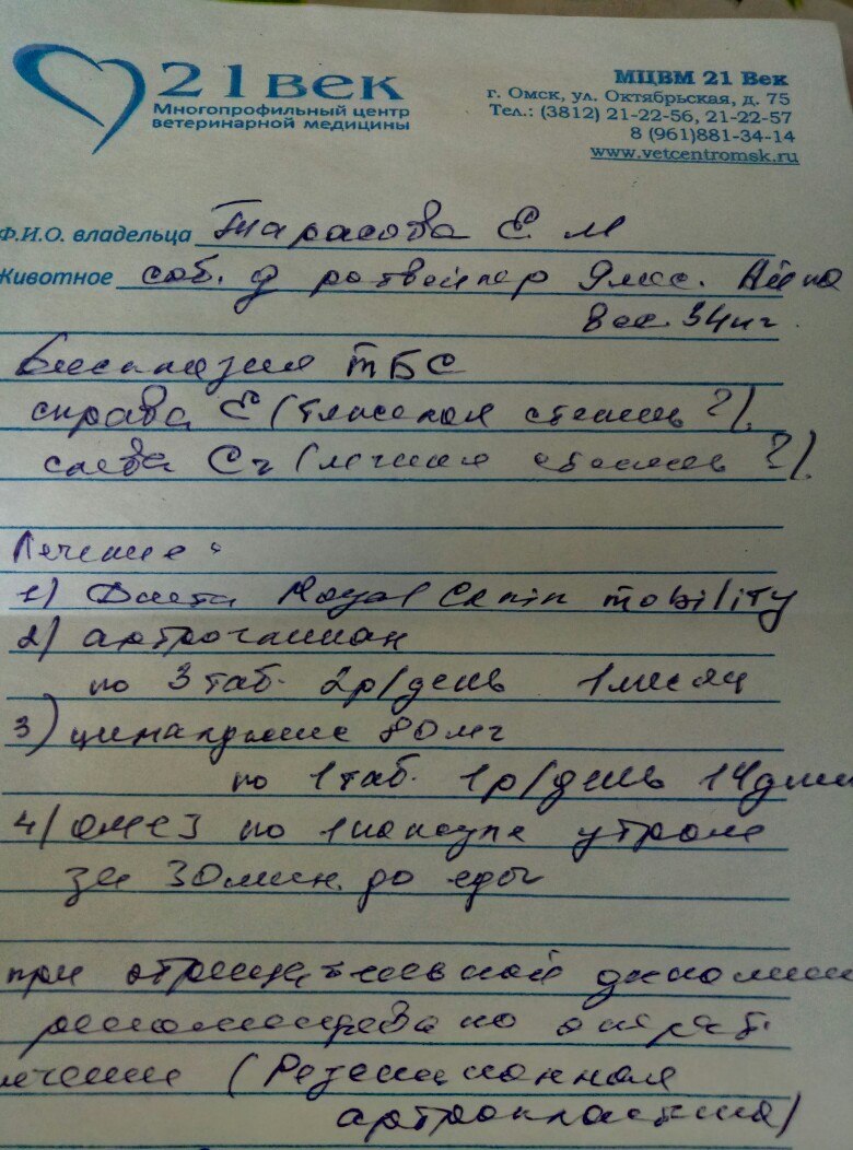 Срочно нужна операция собаке двухсторонняя дисплазия ТБС | Пикабу