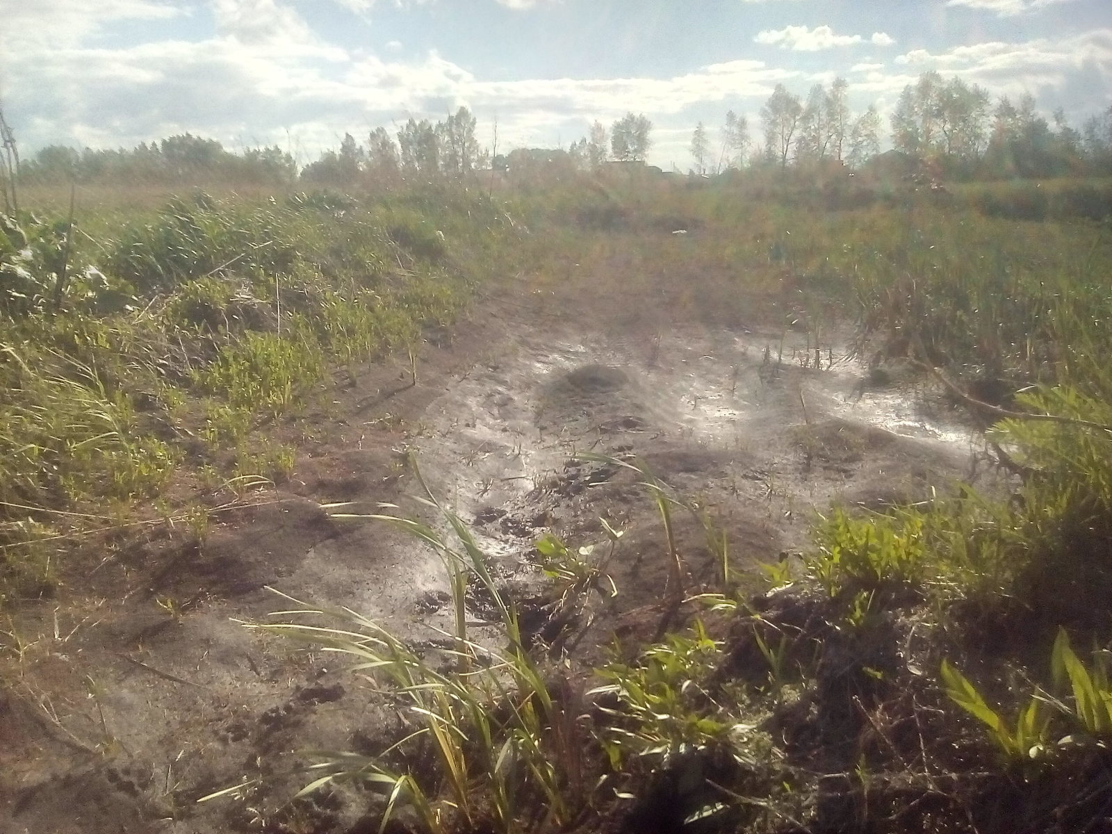 Unnecessary black soil - Road, Land, Longpost