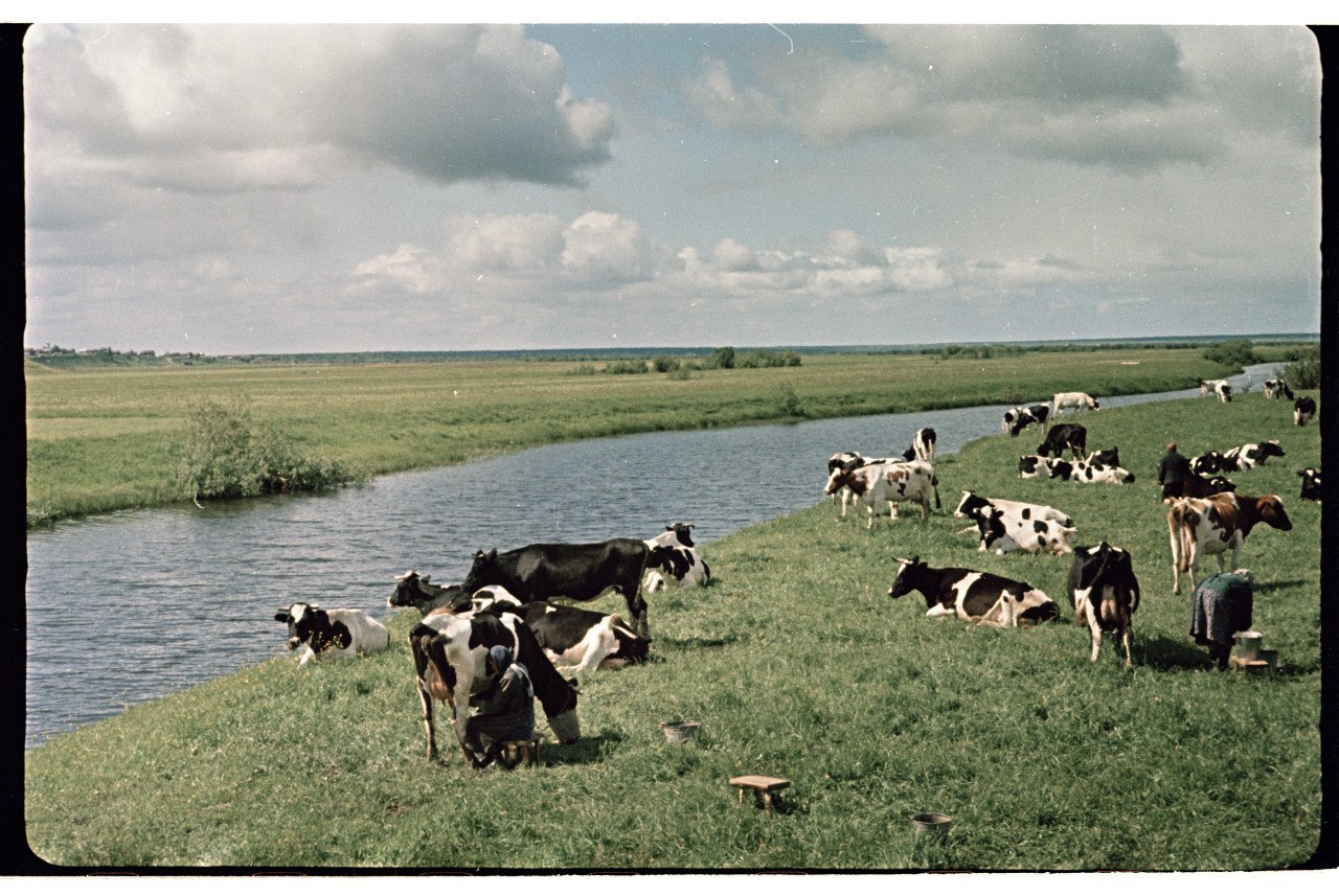 Фотографии Семена Осиповича Фридлянда. 1950-е в цвете. 4 - СССР, Фотография, Семён Фридлянд, Длиннопост