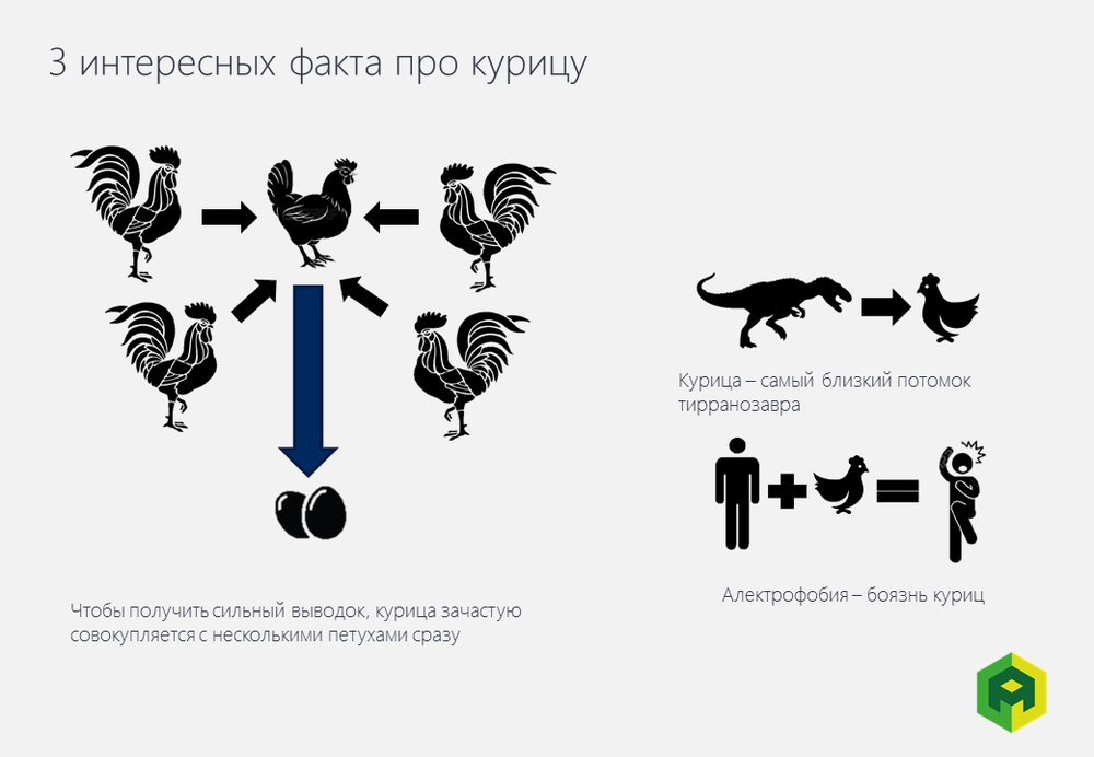 Chicken Mysteries: 5 Things You Didn't Know - Interesting, From the network, Longpost, Hen, Birds