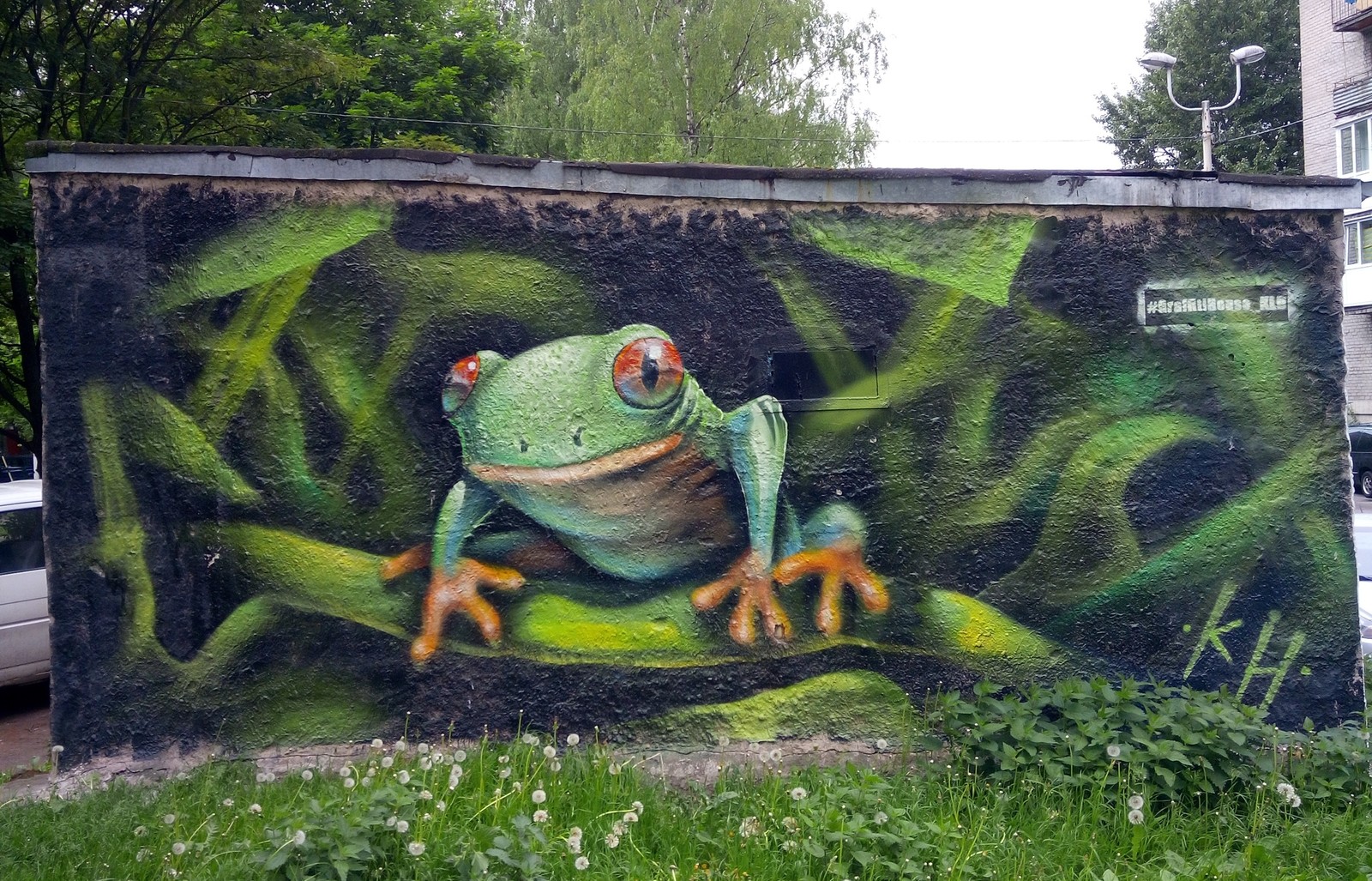 Frog - My, Graffiti, Kaliningrad, Frogs