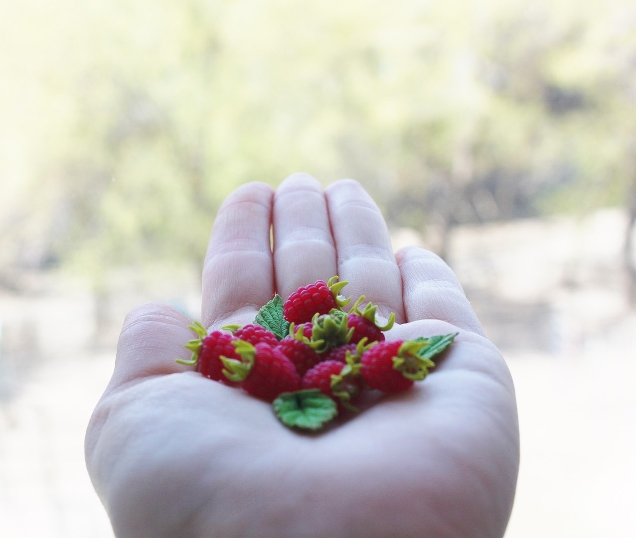 Who has raspberries? I have!) Mine, polymeric) - My, The hobbit, Polymer clay, Crunch, Longpost