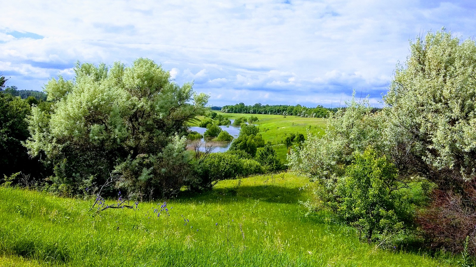 My village is still alive - My, Village, Village, Nature, People, Clouds, Russia, , Longpost, Romance