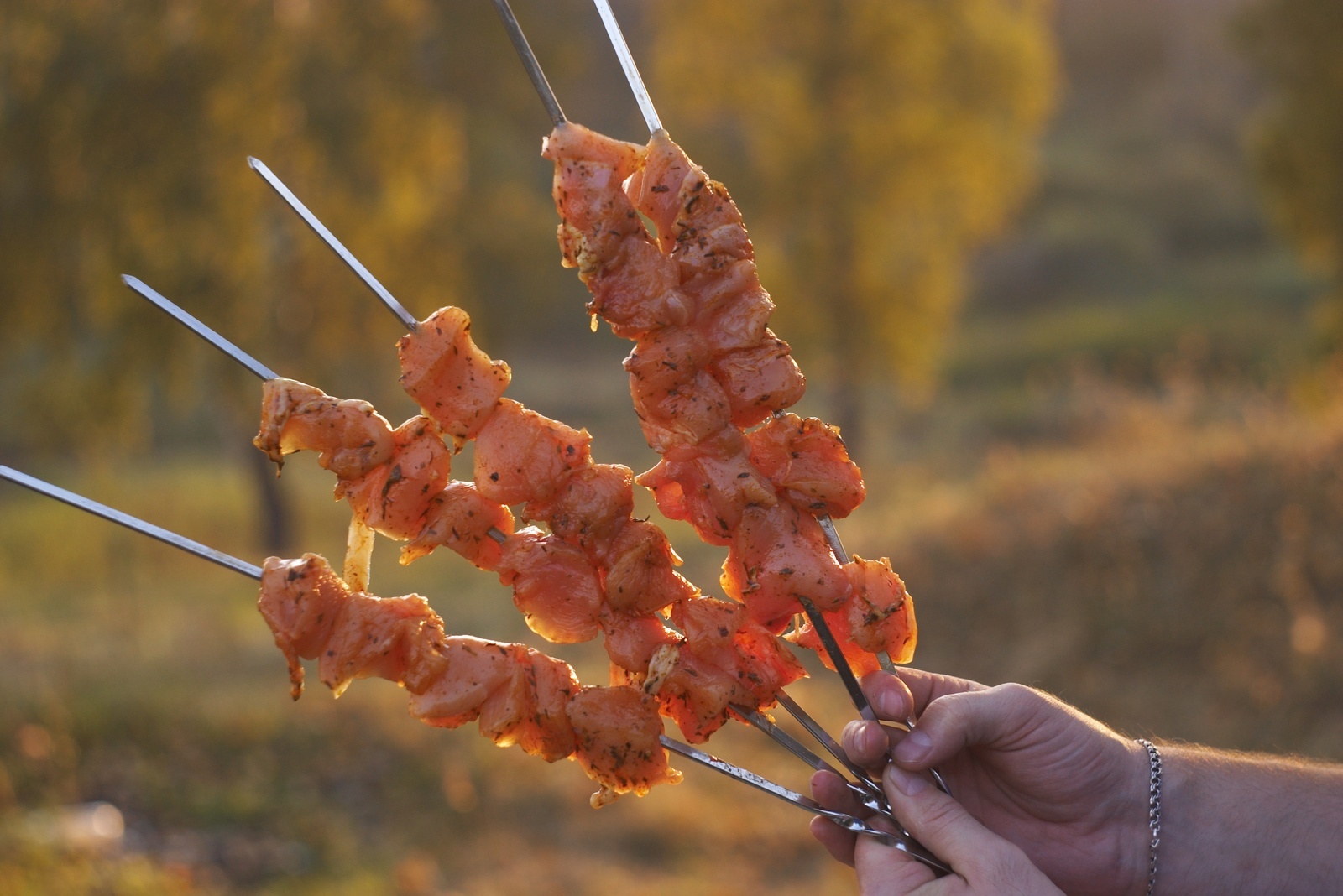 Fried retrospective - My, Shashlik, B-B-Q, BBQ, Meat, Bonfire, Brazier, Bricks, Yummy, Longpost