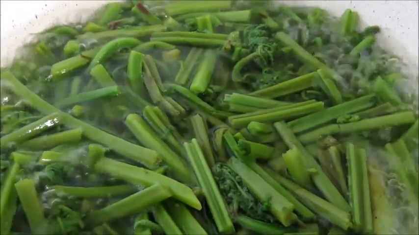 Asian style fern salad - My, Salad, Food, cooking, Longpost, Yummy, Recipe, Other cuisine, Preparation, Fern, Video