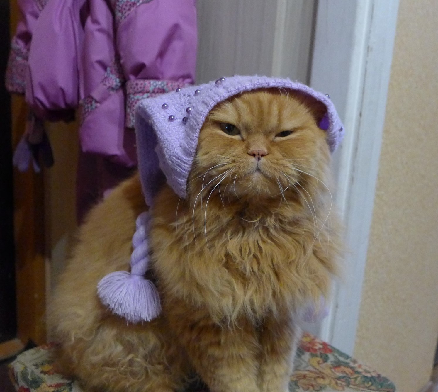 Крестный котец | Пикабу