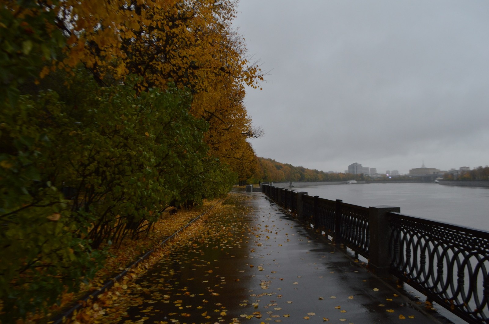 санкт петербург осенью фото