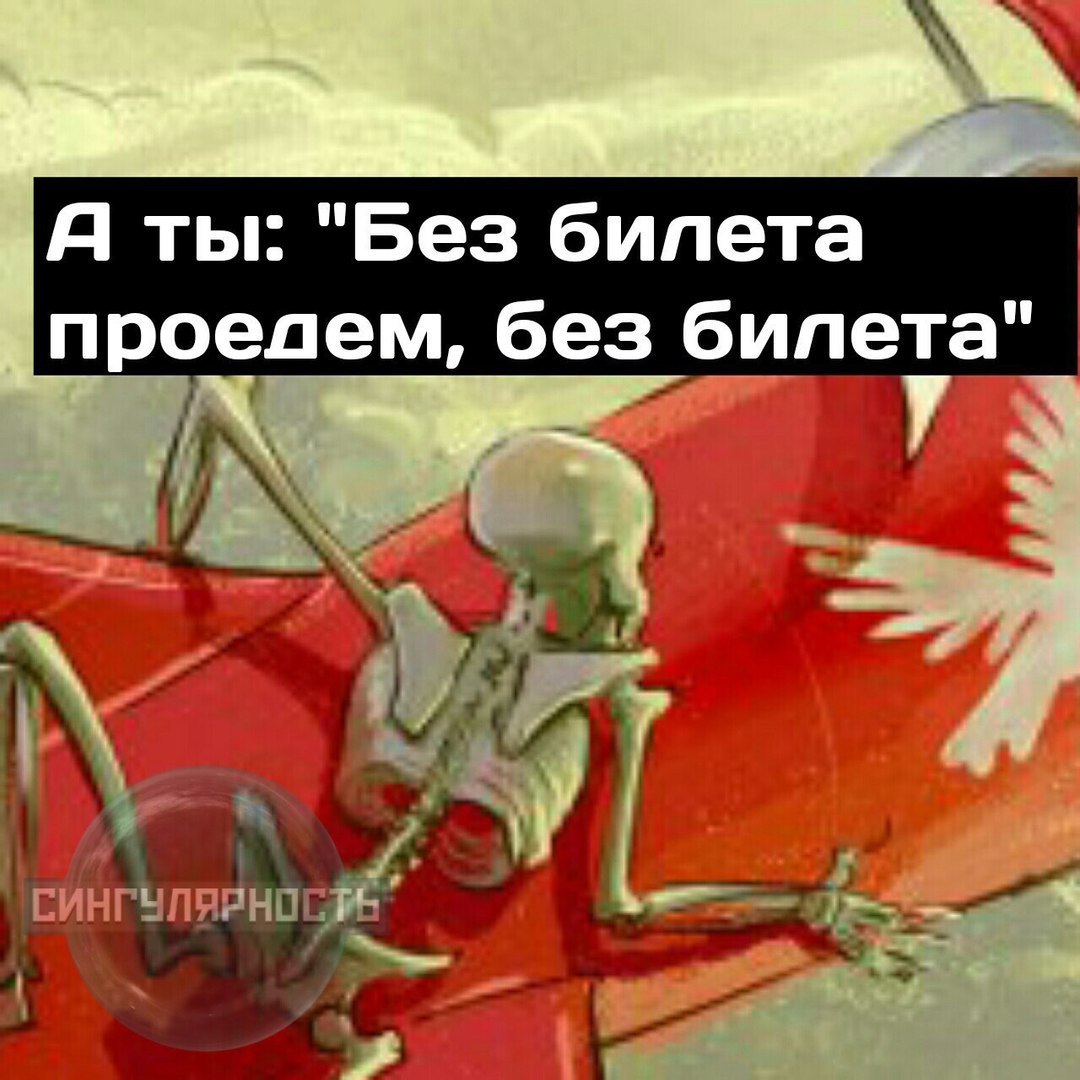 Skeletons and plane - My, VK group, Comics, Humor, Longpost, Singularity comics, Skeleton, Airplane, Public