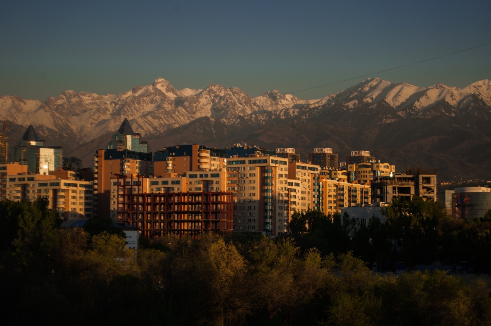 Everyone starts somewhere somewhere. - My, The photo, Metro, Almaty mountains, Flowers, Nature, Longpost