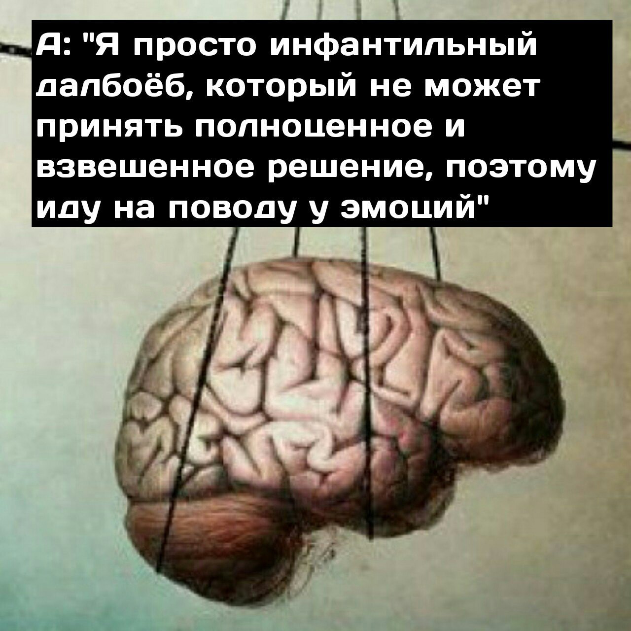 Взвешенное решение. Принять взвешенное решение по схеме. Принимать взвешенные решения. Взвешенные решения юмор.