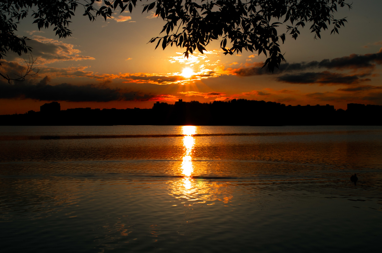 Minsk, Chizhovskoye reservoir - My, Minsk, Water, The sun, Nature, Beginning photographer