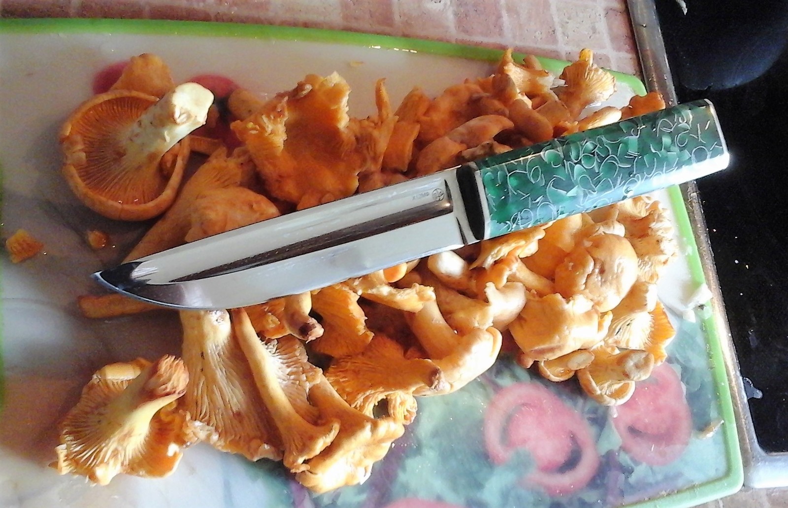 Knife EMERALD - Knife, Yakut knife, , Hunting knife, , Longpost