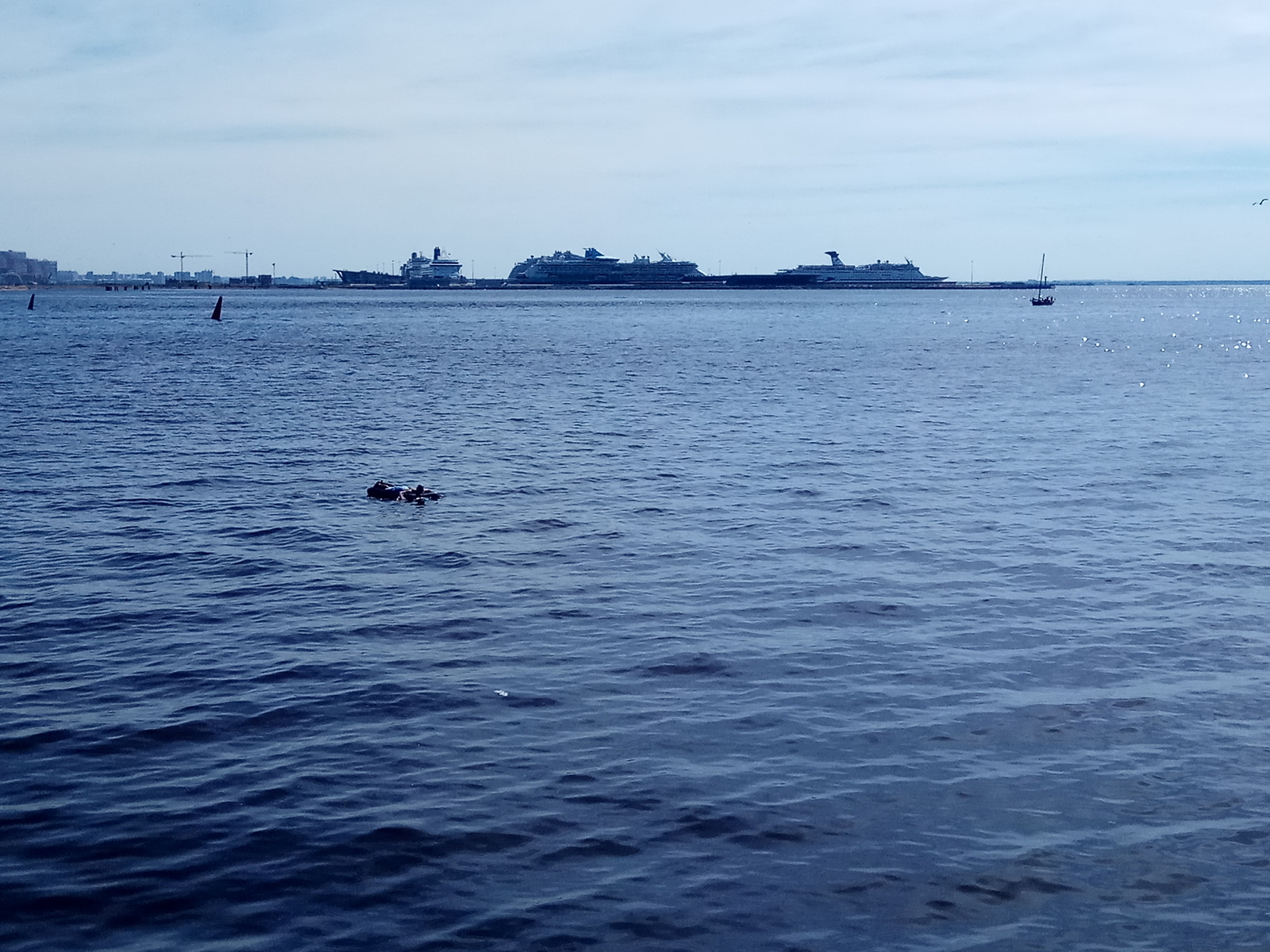 Le-o-o-lick! - My, Got lost, Inflatable mattress, The Gulf of Finland, Saint Petersburg