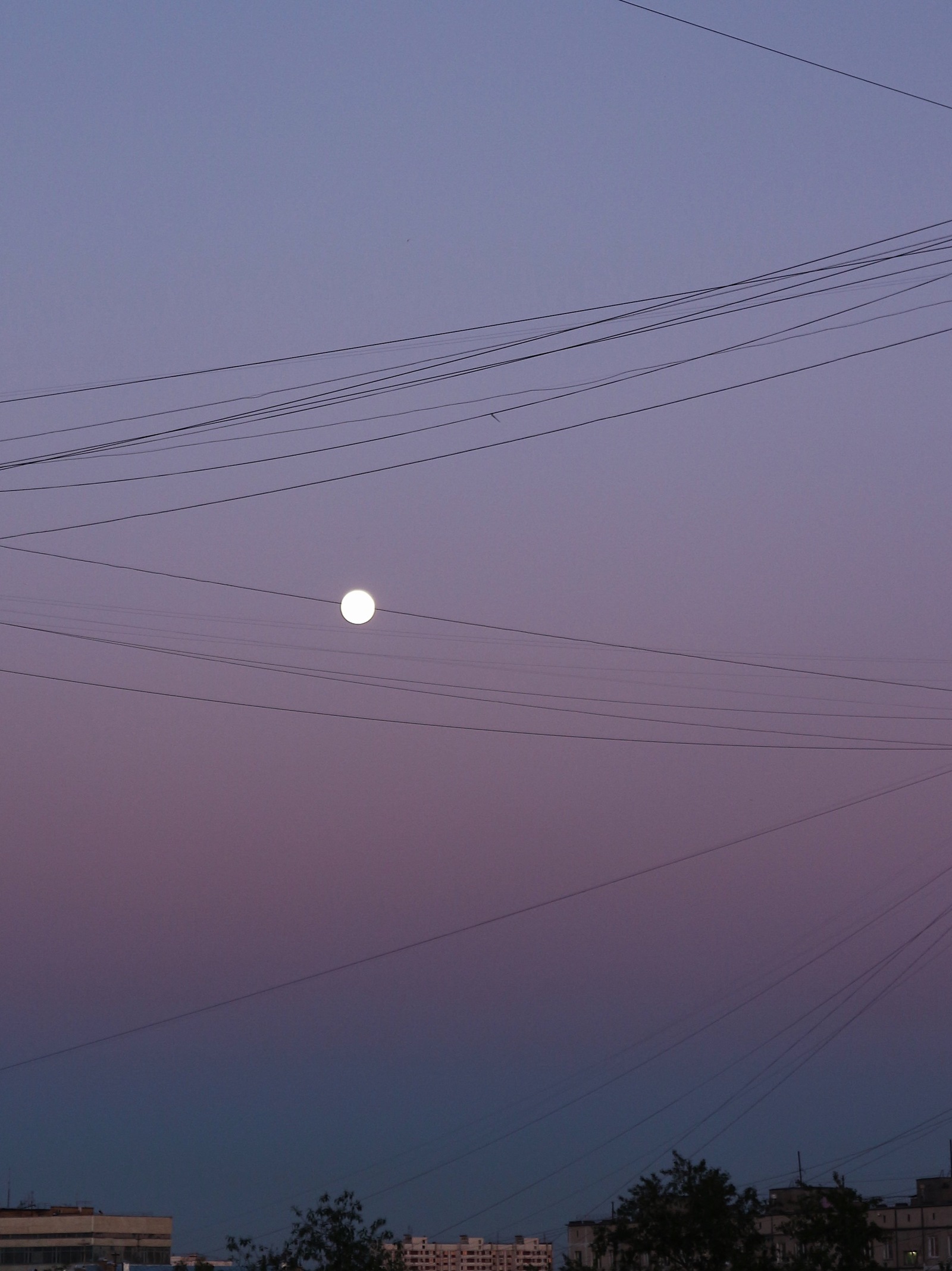 Hello, the moon is on the wire - My, Sky, moon, Evening, Successful angle, Illusion, The photo, Longpost