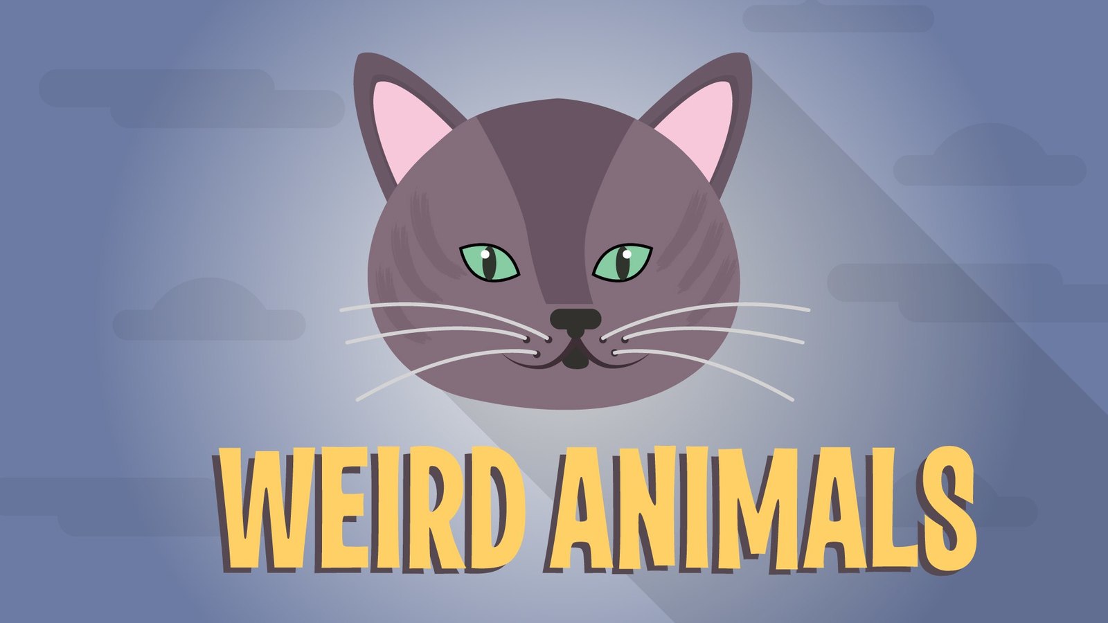 Community weirdanimals - , Animals, , Stubbornness, cat, Oddities