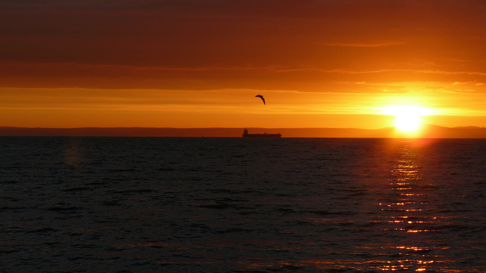 Dawn, Vladivostok!!! - My, Sunrises and sunsets, Travels, Beach, Longpost