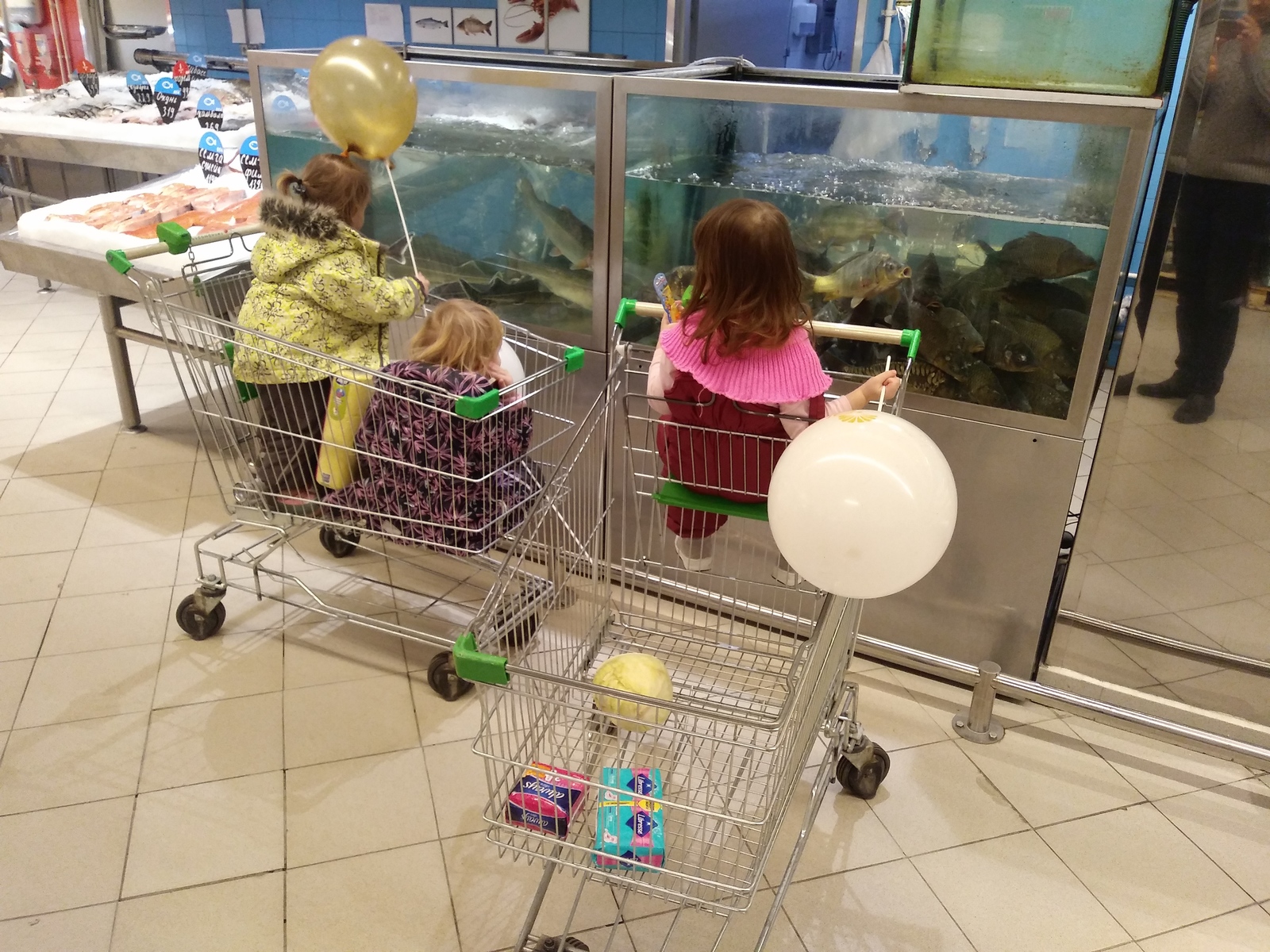 To avoid getting in the way... - My, Children, Aquarium, Life hack