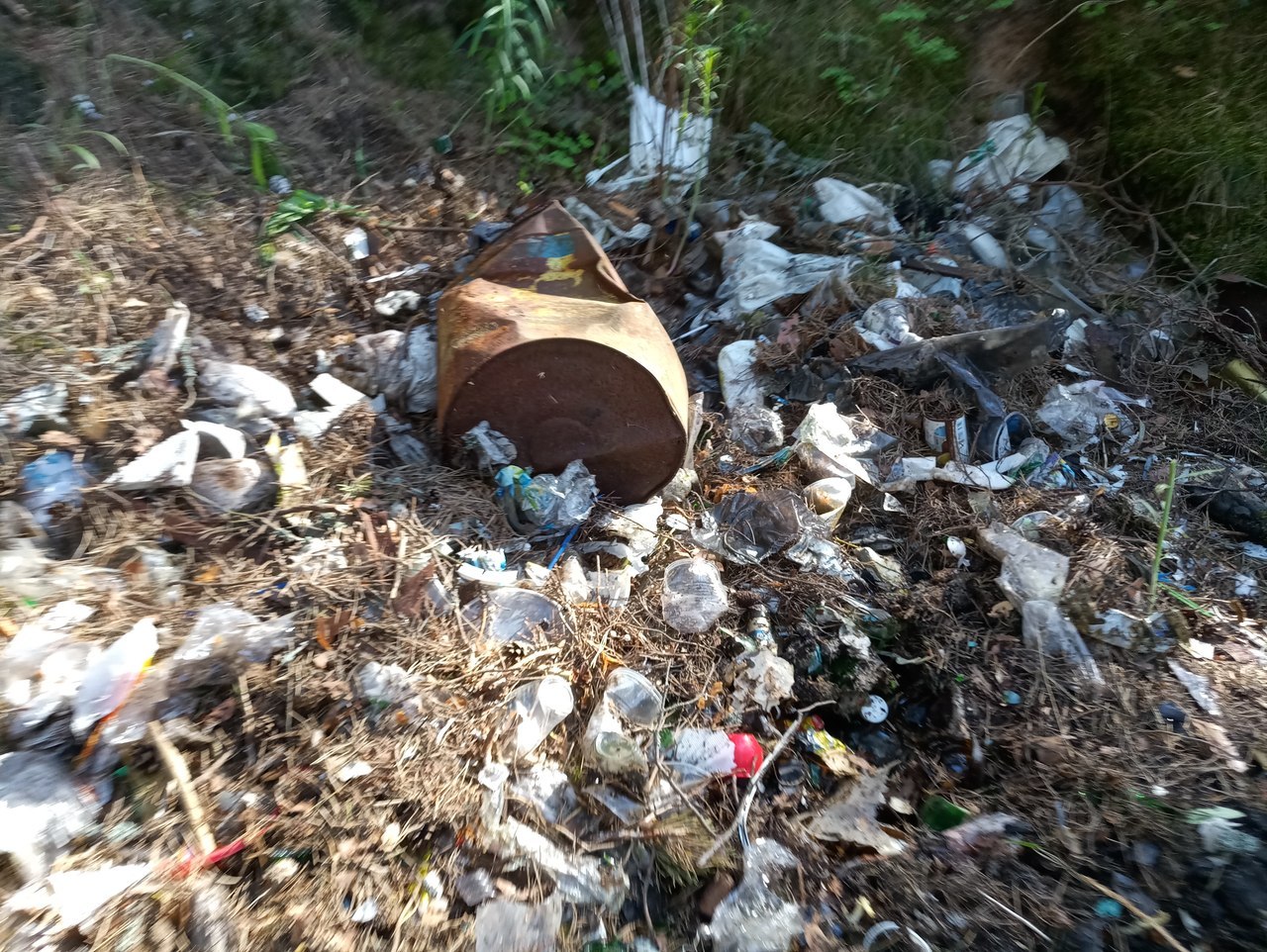 harvest raid - My, Cleaning, Garbage, Beach, First long post, Saturday clean-up, Initiative, Longpost, Saint Petersburg