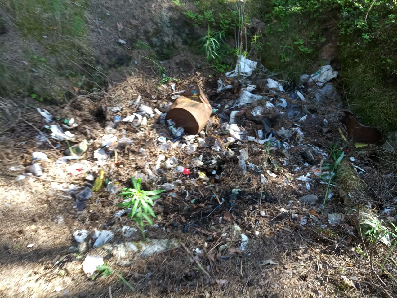 harvest raid - My, Cleaning, Garbage, Beach, First long post, Saturday clean-up, Initiative, Longpost, Saint Petersburg