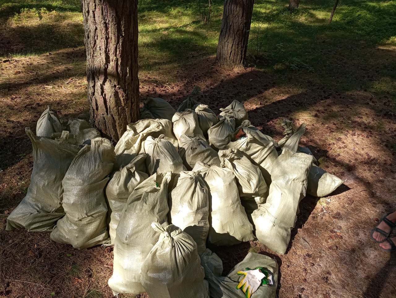 harvest raid - My, Cleaning, Garbage, Beach, First long post, Saturday clean-up, Initiative, Longpost, Saint Petersburg