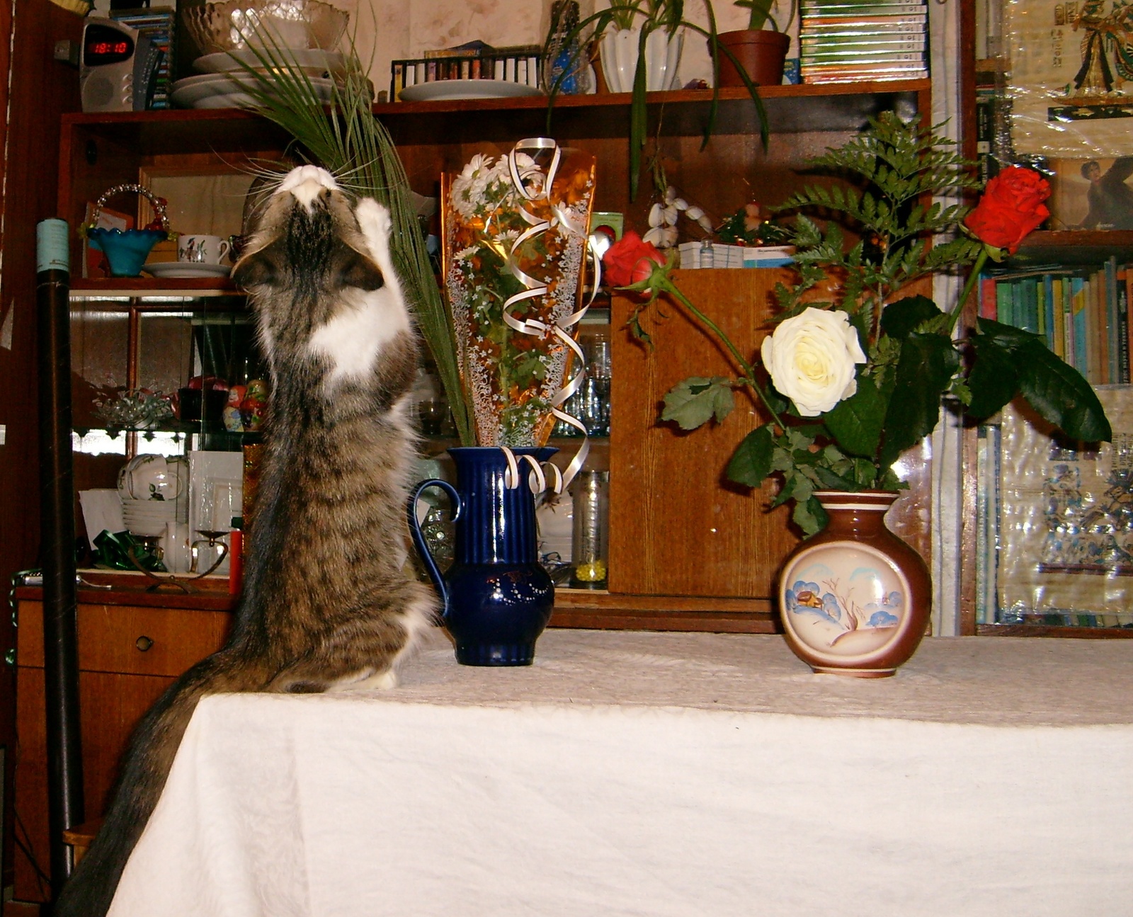 Nice bouquet and how it tastes. - My, Musya, cat, The photo, Longpost