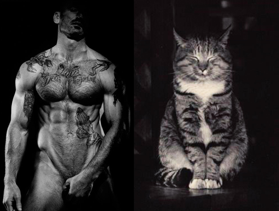 MEN LIKE CATS - Playgirl, Girls, A selection, cat, Men, Torso, Muscle, Guys, Longpost