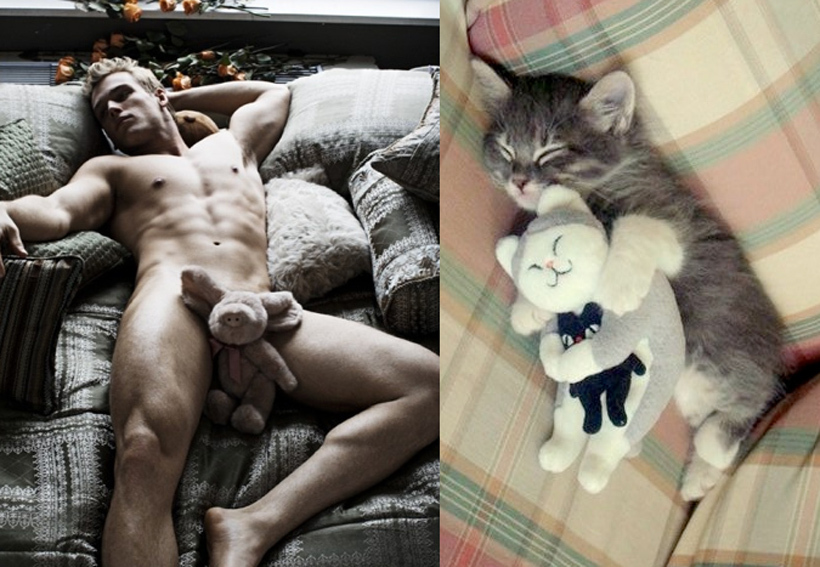 MEN LIKE CATS - Playgirl, Girls, A selection, cat, Men, Torso, Muscle, Guys, Longpost