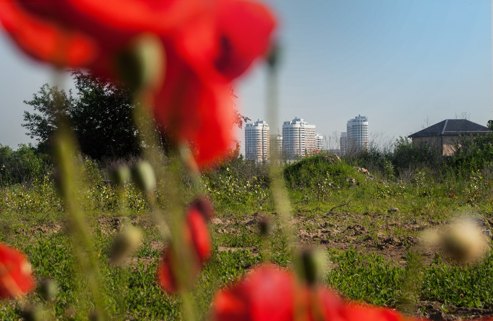 Cycling along the outskirts of Krasnodar towards the reservoir - My, A bike, The photo, Krasnodar, Morning, Kuban, River, Reservoir, Longpost