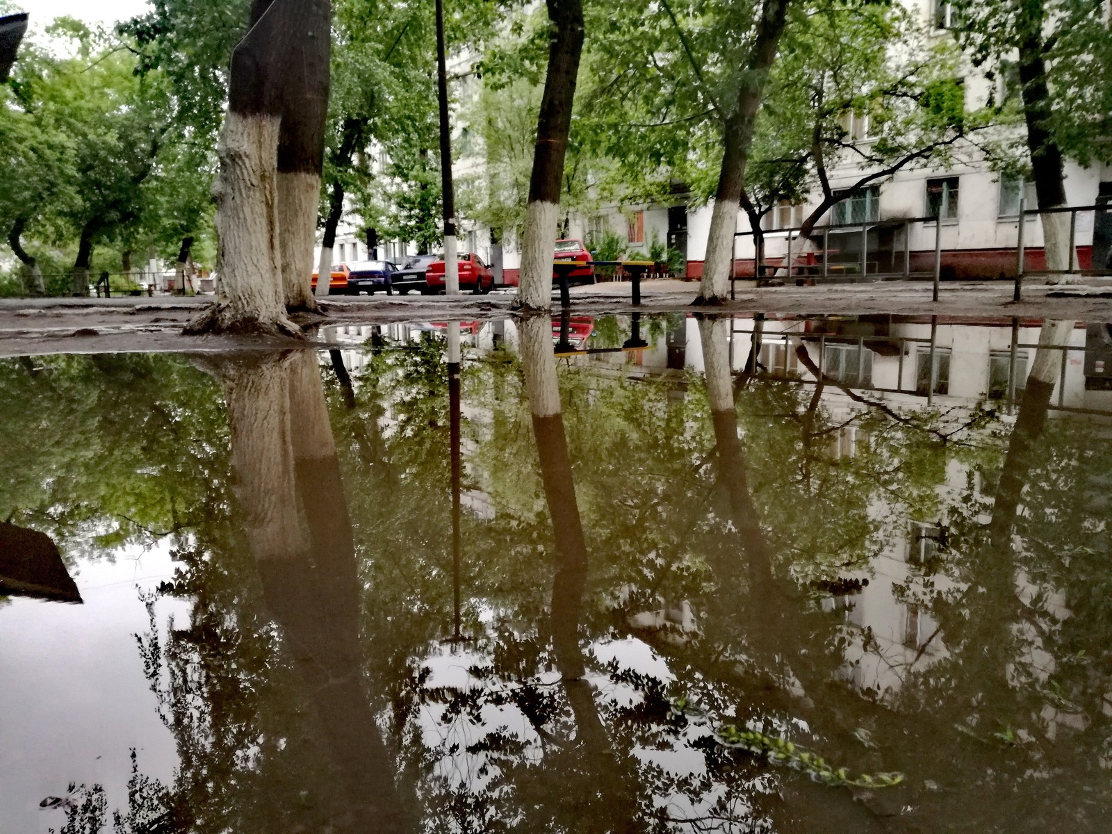 Казахстан,циклон пришел - Моё, Дождь, Фото на тапок, Казахстан