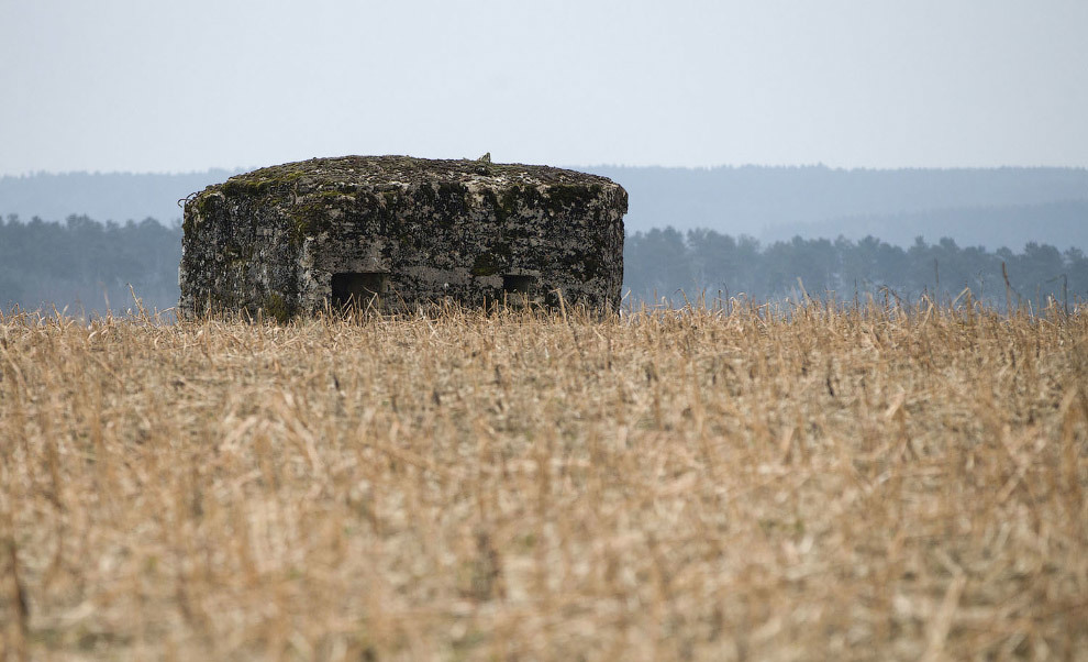 What the battlefields of the First World War look like a hundred years later. - World War I, Story, The photo, France, Belgium, Longpost