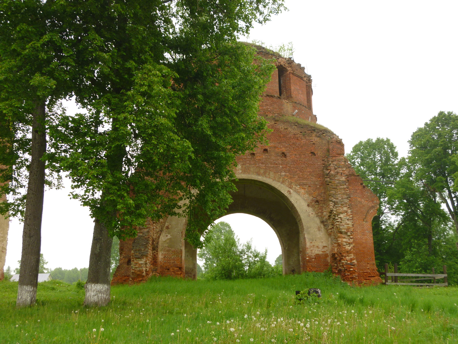 Remains of the church - My, Longpost, , Ruins, Kaluga region, Church, Ruin