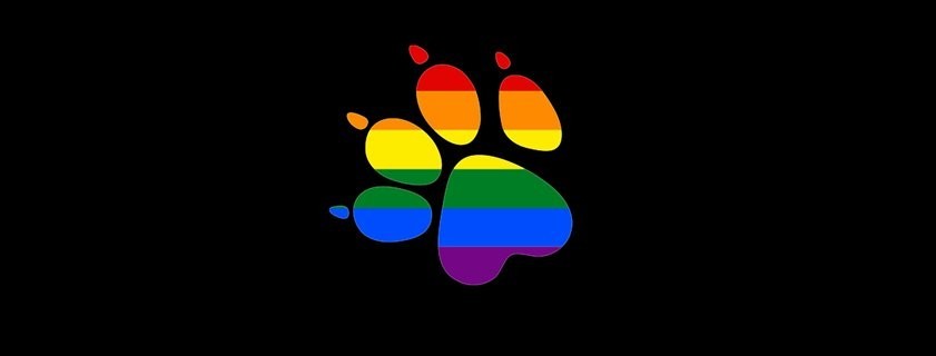 Sony - Games, LGBT, Madness, Naughty Dog