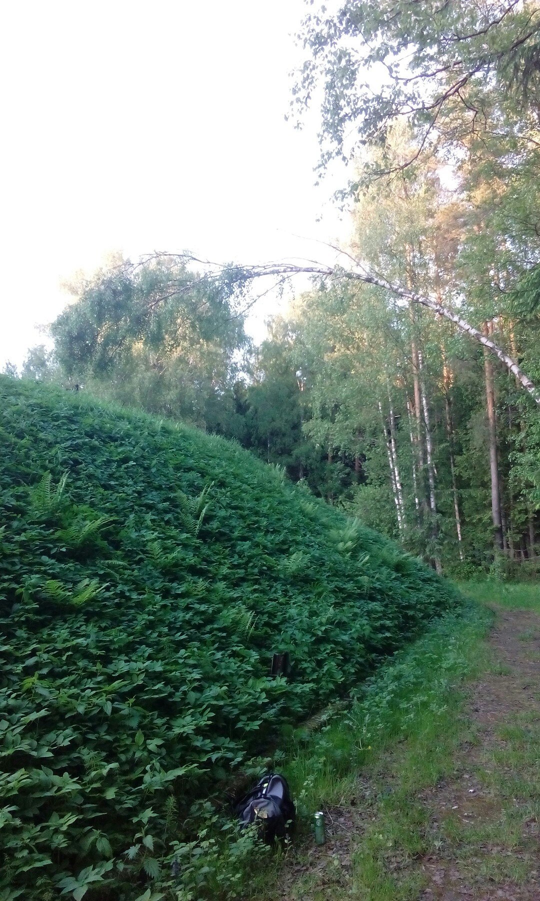 Mysterious building. - My, Cast, What's this?, Ruins, Longpost