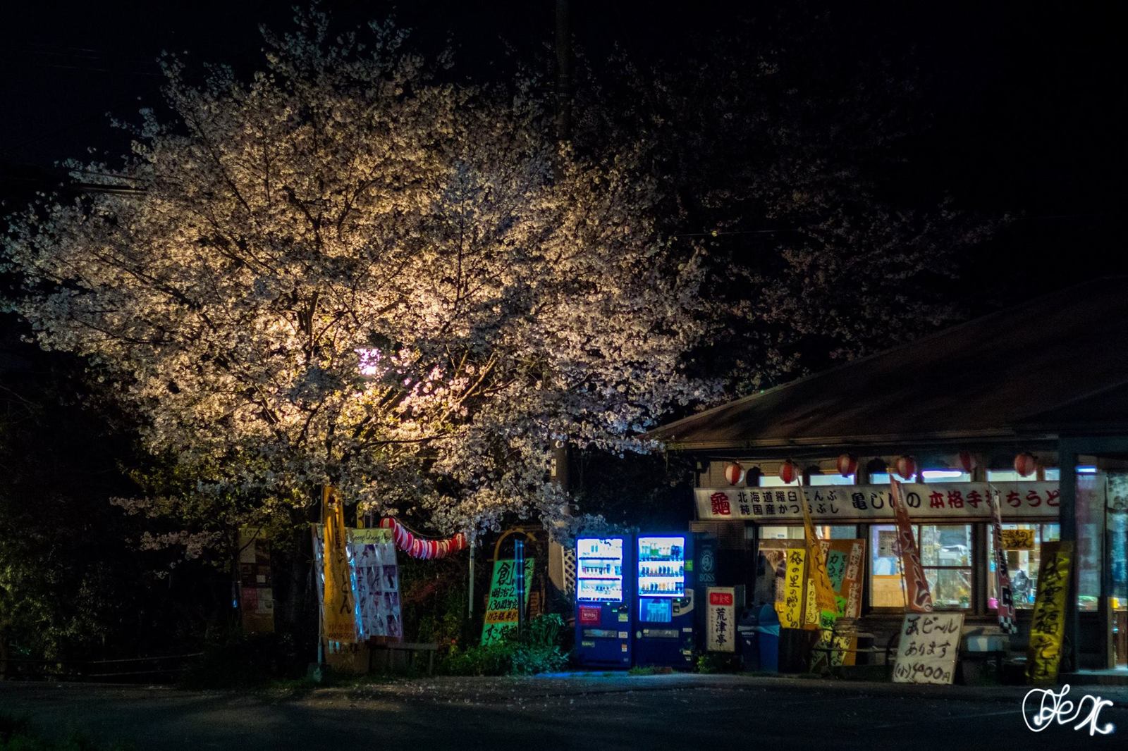 Где посмотреть сакуру в Фукуоке. Nishi Park - Моё, Япония, Фукуока, Сакура, Ханами, Путеводитель, Путешествия, Фотография, Длиннопост