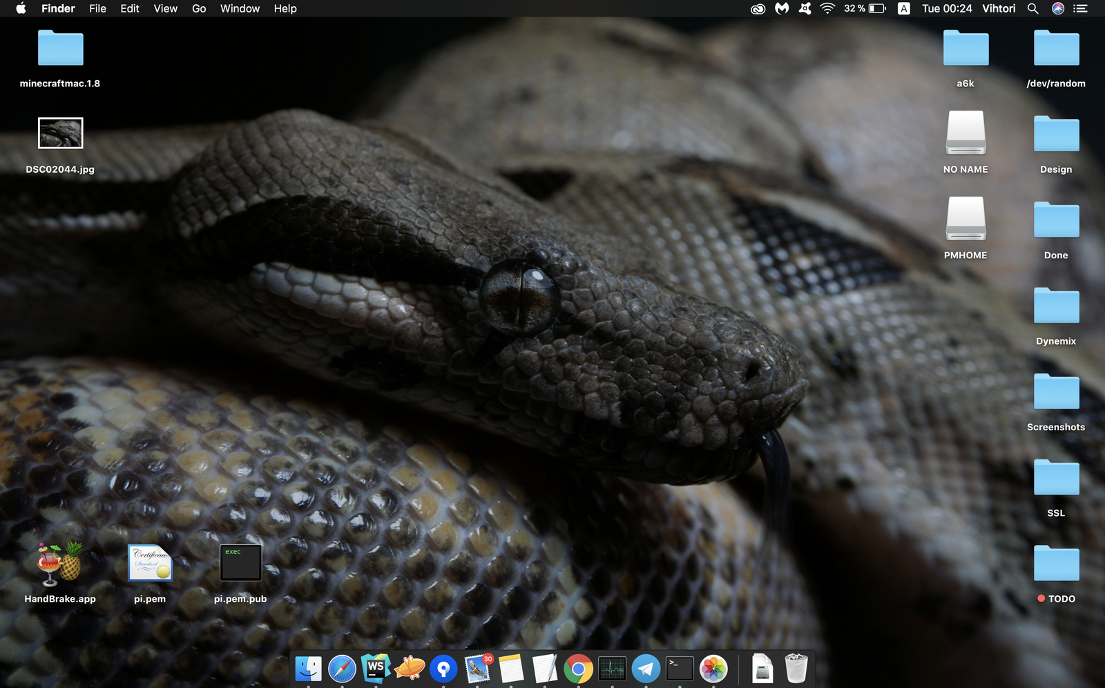 Imperial boa constrictor - My, Beginning photographer, Snake, Boa, Desktop wallpaper, Sony a6000, The photo, Screenshot