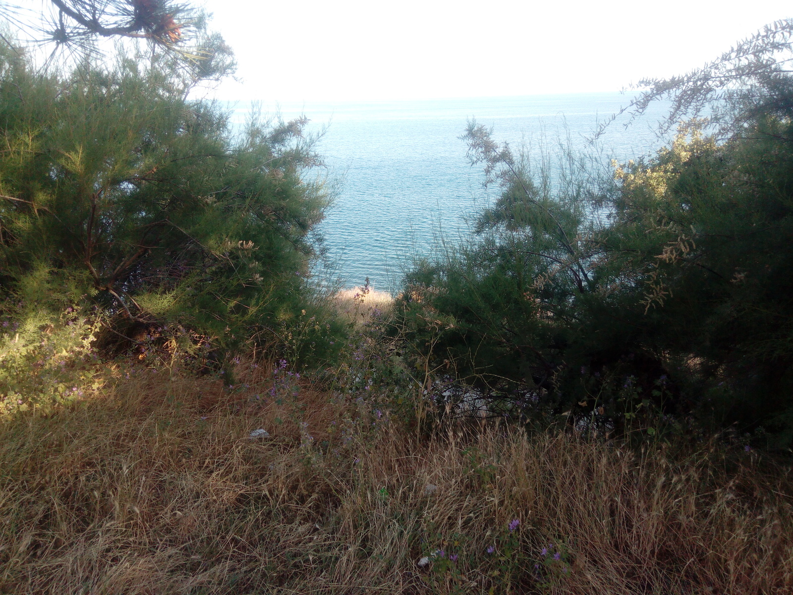 Abandoned car camping in Solnechnogorsk (Crimea) - My, Crimea, , Camping, Longpost