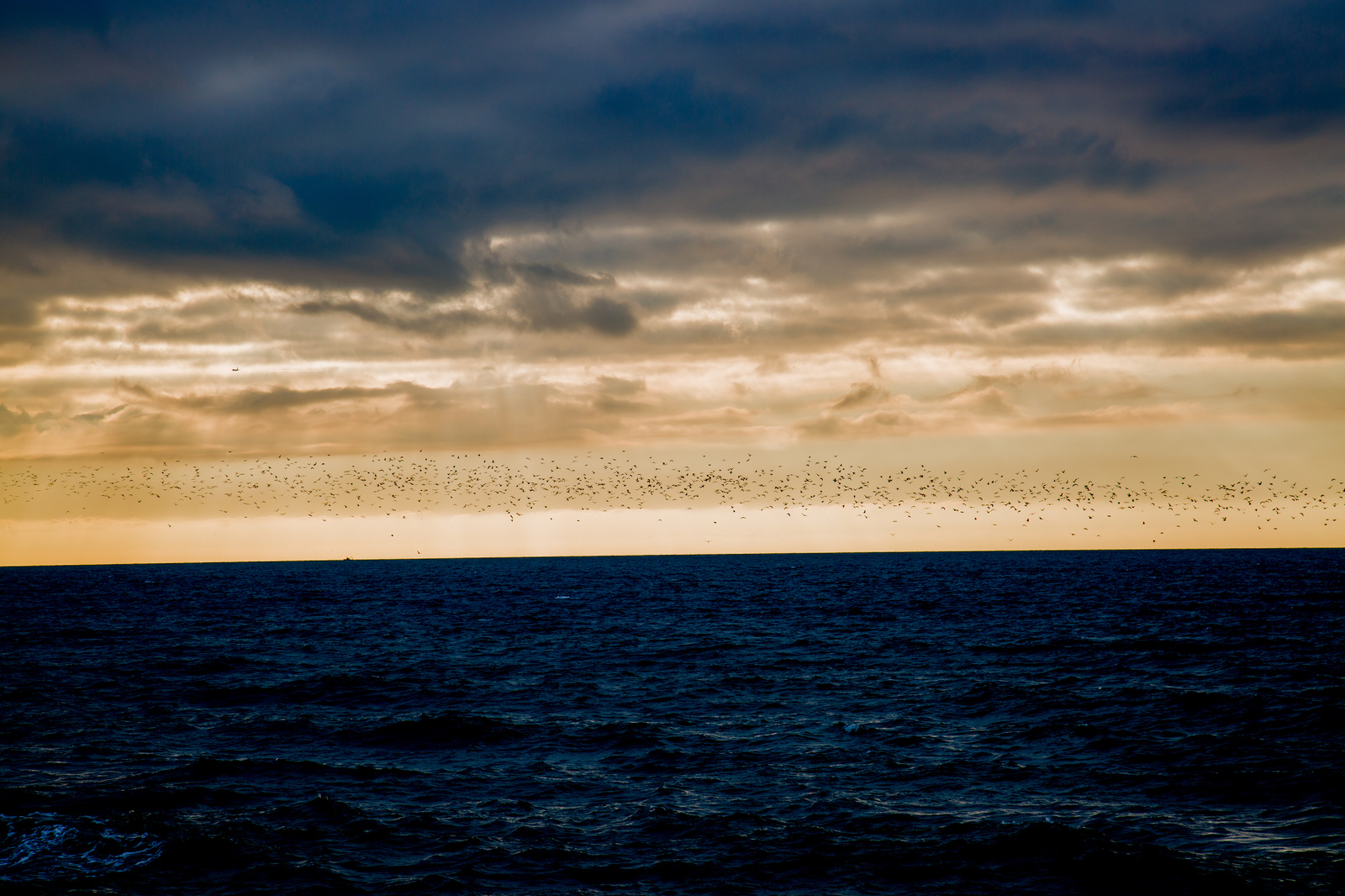 Sochi, 10 minutes before the storm - My, Sochi, Sea, Black Sea, Sunset, Romance, , My, Storm