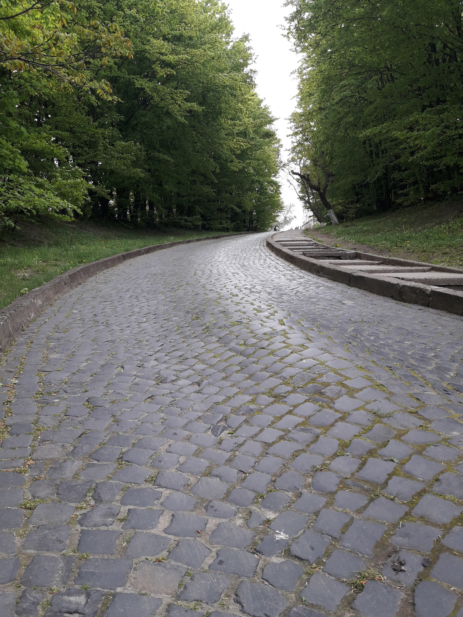 Olesko castle - My, , , Lviv, The photo, Longpost