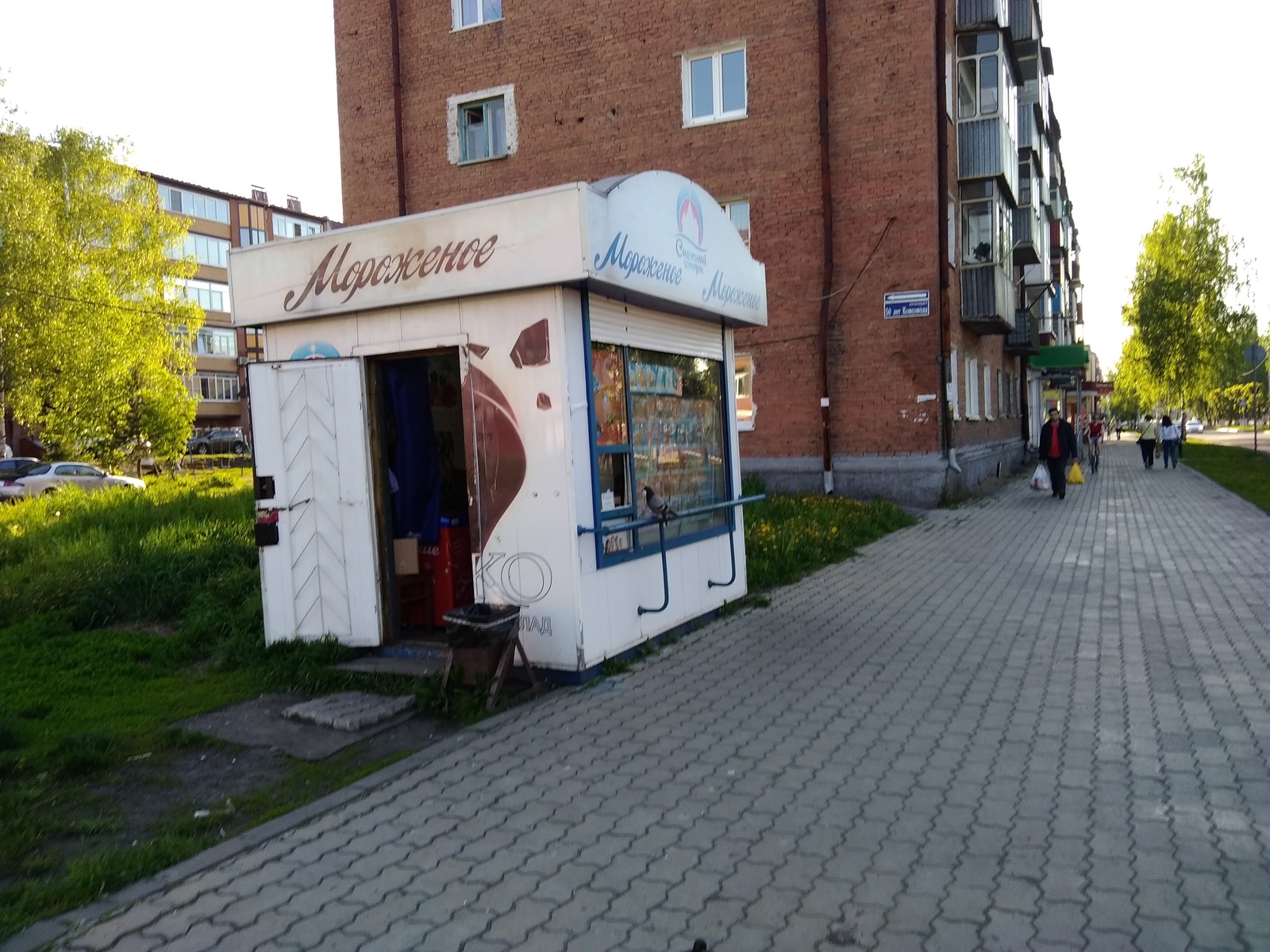 Have you ever seen such a thing? - My, Pigeon, Ice cream, Difficult choice