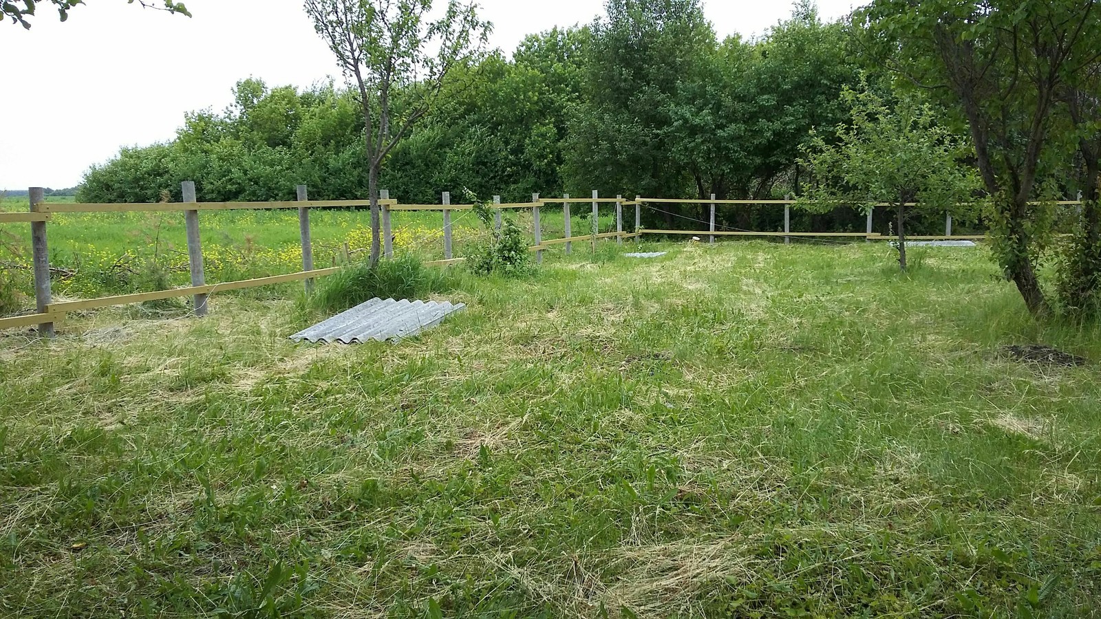 DIY fence - My, With your own hands, Fence, Fencing, Longpost