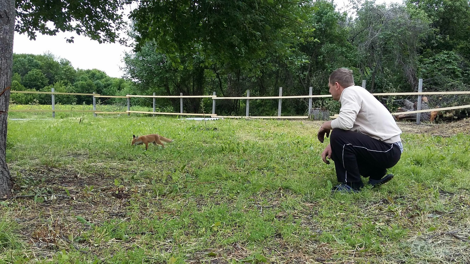 DIY fence - My, With your own hands, Fence, Fencing, Longpost